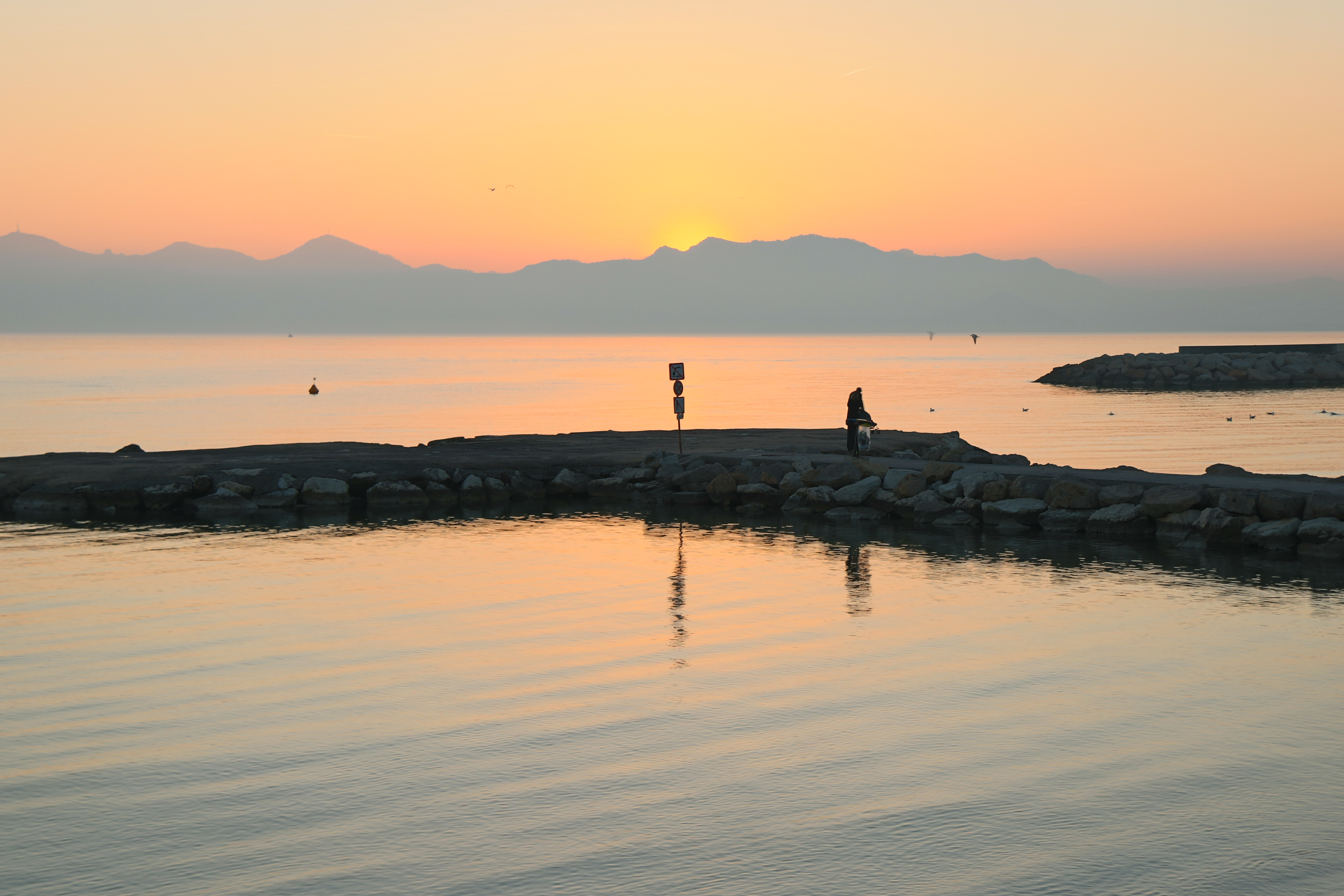 il est mort le soleil